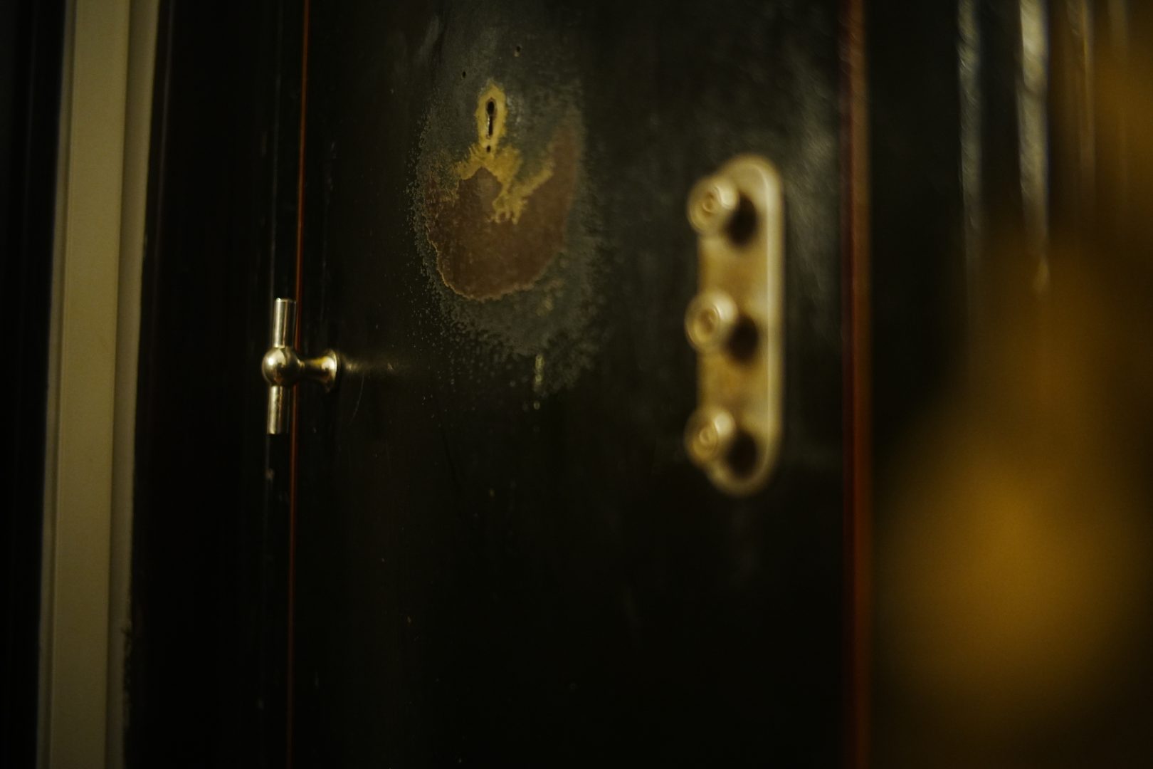 Casa Gheorghe Tătărescu din București: martoră privilegiată a elitei interbelice și istoriei contemporane ca EkoGroup Vila